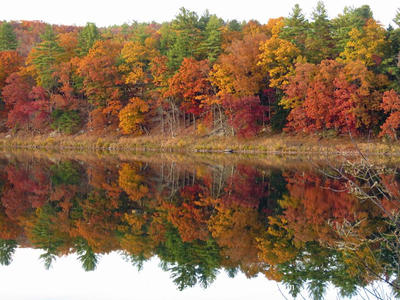Town of Tusten, NY